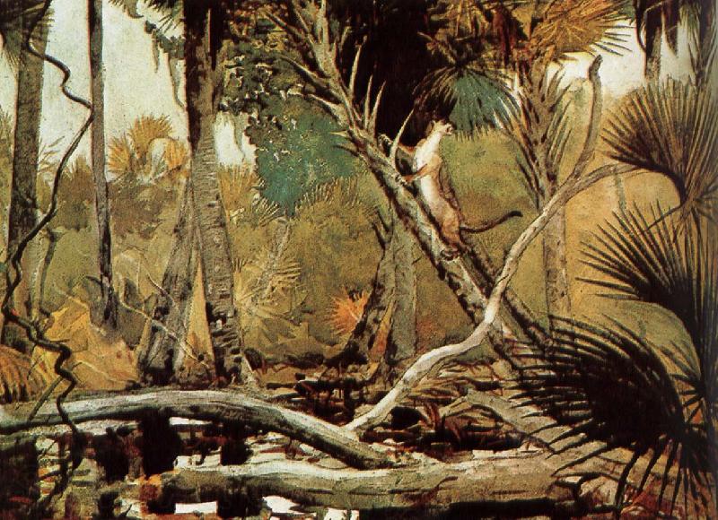 Winslow Homer Florida Jungle France oil painting art
